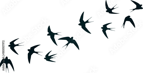 A flock of swallows in silhouette, gracefully flying in formation against a bright, overcast sky, conveying a sense of freedom and migration