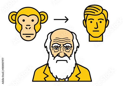 Charles darwin's theory of human evolution: ape to man transition, scientific concept vector art.
