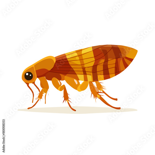 Flea, 2D flat vector illustration in icon style, isolated on a white background