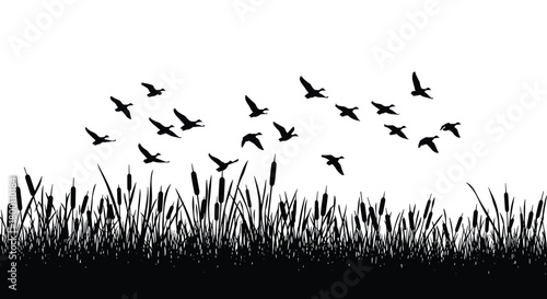 Silhouette of a flock of birds flying over reeds