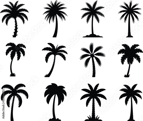 Collection of Silhouette Palm Trees for Tropical or Vacation-Themed Design and Decor