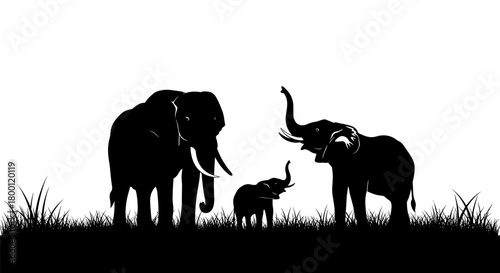 Silhouette of a family of elephants, including two adults and a baby, standing in grass against a