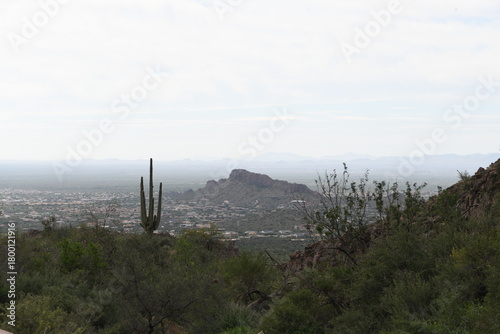 Sonoran Desert