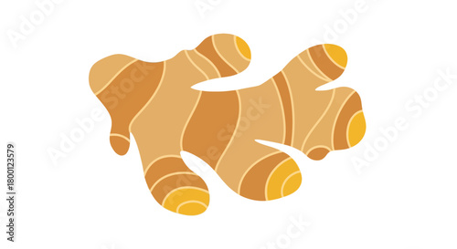 Illustration of a vibrant stylized ginger root with a warm color palette