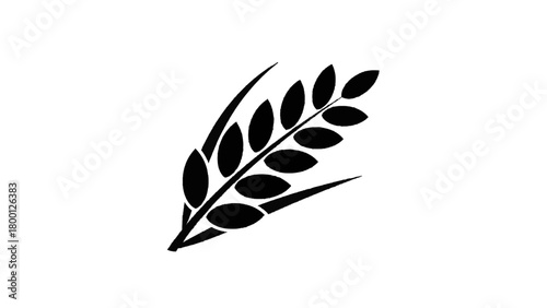 Vector illustration of single black wheat stalk isolated on transparent background 