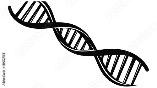 Vector illustration of black and white illustration of a dna double helix structure isolated on transparent background