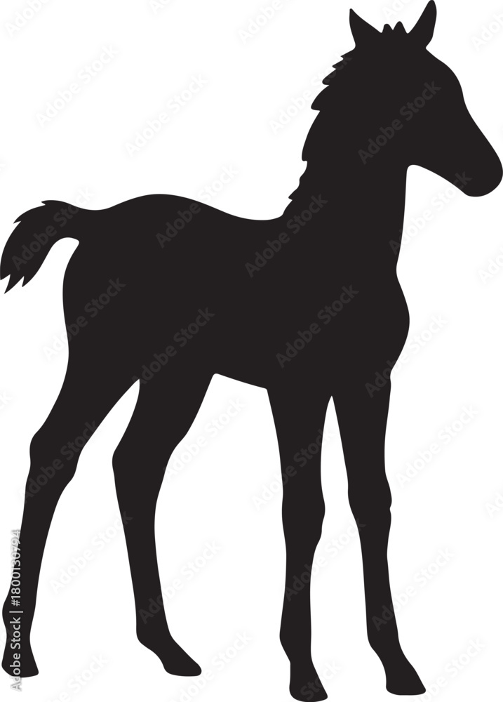 Obraz premium silhouette of a foal on isolated transparent background