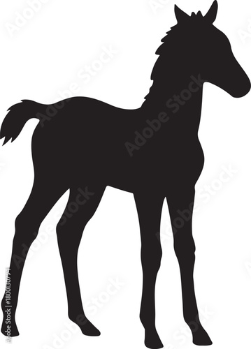 silhouette of a foal on isolated transparent background