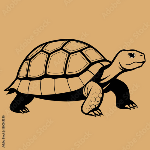 Stylized illustration of a tortoise walking on a plain background