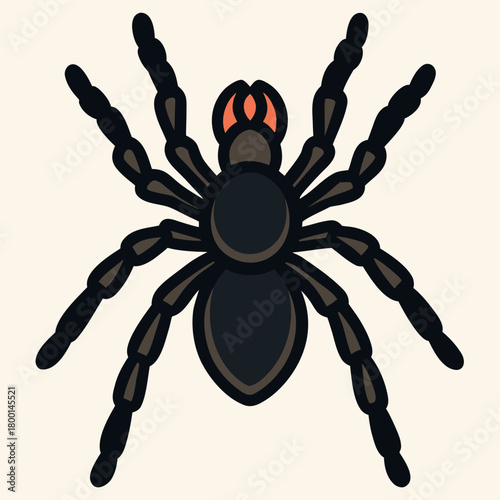 Stylized illustration of a black tarantula spider with orange markings