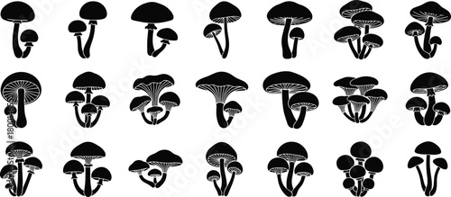 Mushroom silhouettes, black fungus icons, mycology shapes, botanical clipart, nature design, forest fungi, vector mushrooms, isolated graphic elements