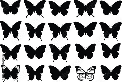 Butterfly silhouette grid, insect icons, black vector, wing pattern contrast, nature illustration, entomology design, visual puzzle, species diversity