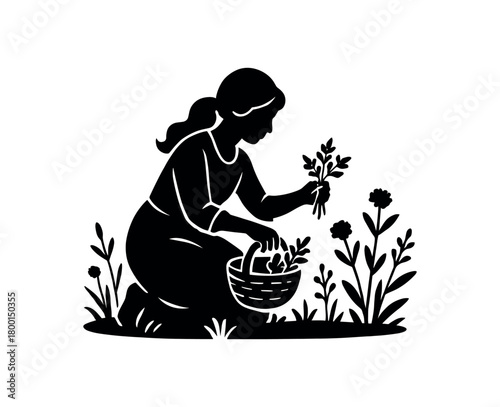 woman picking herbs meadow flat black solid vector illustration isolated on white background
