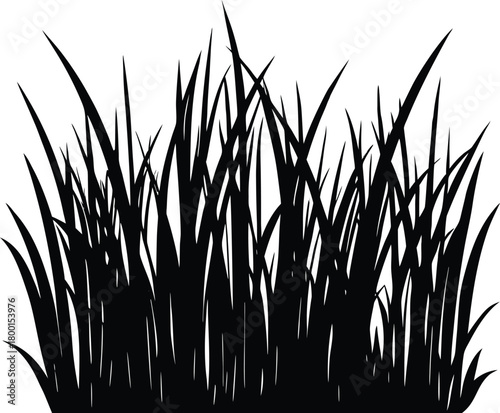 Dense Layered Grass Silhouette | Thick Layered Grass Illustration