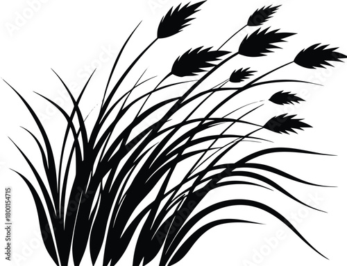 Light Breeze Grass Silhouette | Gentle Wind Grass Movement