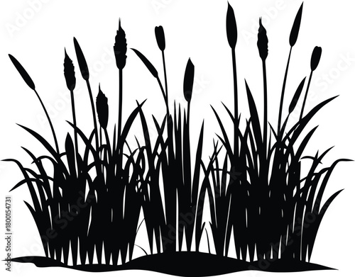 Marsh Grass and Reeds Silhouette | Wetland Grass and Reed Outline