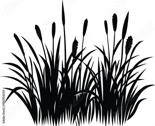 Swamp Grass Reeds Silhouette | Marsh Swamp Grass and Reeds