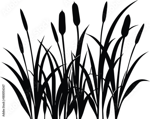 Tall Grass with Cattails Silhouette | Cattails with Tall Grass