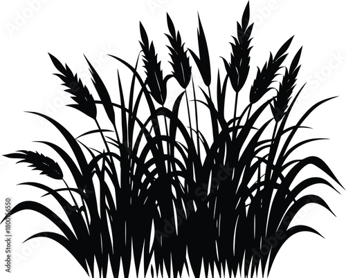 Tropical Tall Grass Silhouette | Tropical Style Tall Grass