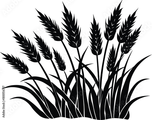 Waving Prairie Grass Silhouette | Wind Swept Prairie Grass