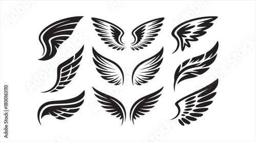Collection of artistic wing shapes representing flight, freedom, and celestial themes