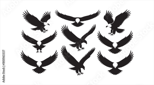 Majestic bird silhouettes representing strength, freedom, and aerial motion