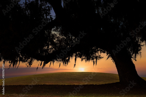 Sun Setting Behind a Large Mature Oak Tree