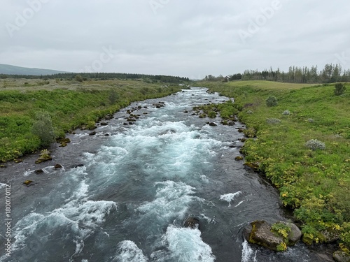 Captivating river flows through lush greenery, embodying the spirit of nature and adventure, inviting exploration and connection with the great outdoors