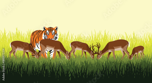 Tiger lurking behind a herd of grazing deer in lush green meadow