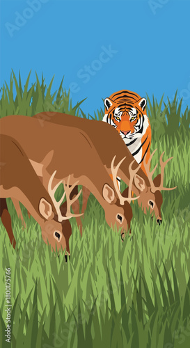 Surreal scene of deer grazing unaware of the tiger watching them