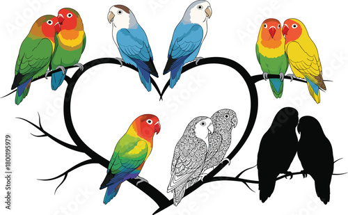 Diverse lovebirds perched on a heart shaped branch with silhouettes and line art