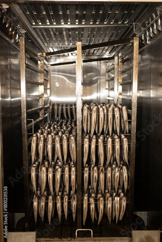 Obraz na plátně A close and centered perspective showing racks densely filled with mackerel aligned for smoking inside a stainless-steel chamber