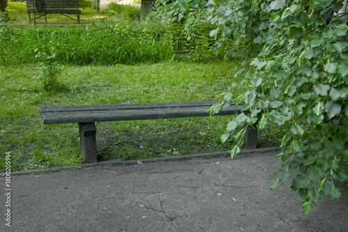 Simple park bench near an asphalt path, green grass and a small tree nearby, another path with wrought iron fences and benches in the background.