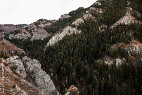 Fall hiking views of Coldwater Creek Canyon North Ogden Utah