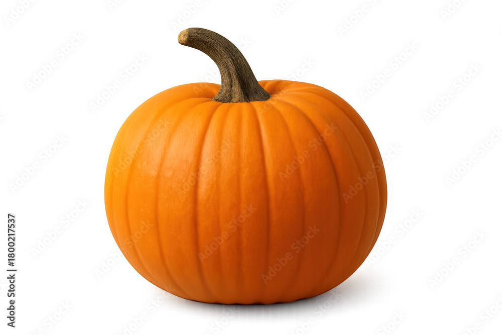 Obraz premium Pumpkin showcasing autumn harvest vegetable for halloween decoration and fall season celebration on transparent background