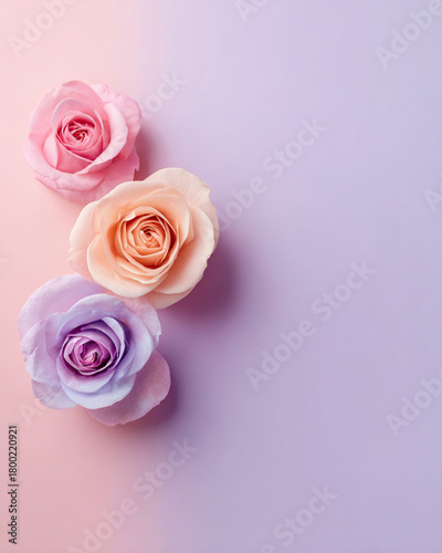 Soft Pastel Background with Three Delicate Roses in Bottom Corner and Large Empty Space for Text, Minimal Elegant Design in Blush, Peach, and Lavender Tones