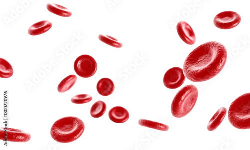 Red Blood Cells Flowing in Bloodstream Isolated on White Background