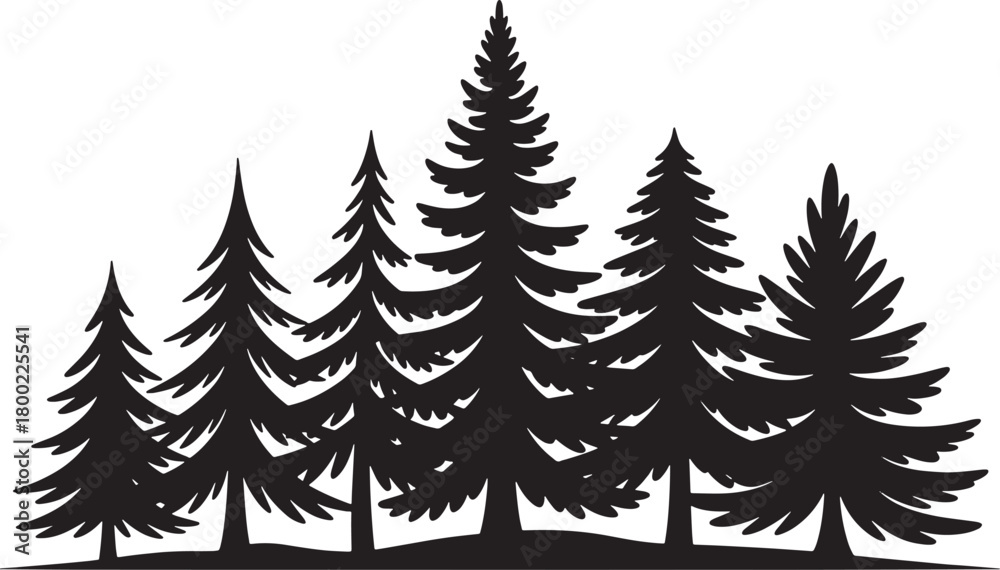 Fototapeta premium Silhouette of several evergreen pine trees isolated on white background