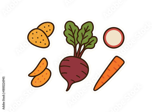 flat vector bold outline earthy brights white background sticker style neat spacing leaf chips beet with tops radish coin carrot stick