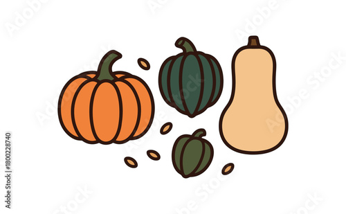 flat vector bold outline muted brights white background sticker style clean margins seed scatter pumpkin acorn squash butternut