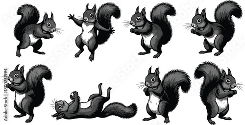 Realistic Black and Gray Squirrels in Different Poses on White rodent animal