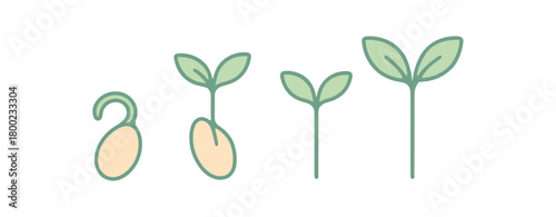Flat vector illustration four sprouting seeds (growth) conceptual focus flow style pastel colors 4x1 grid equal spacing minimal details isolated on white