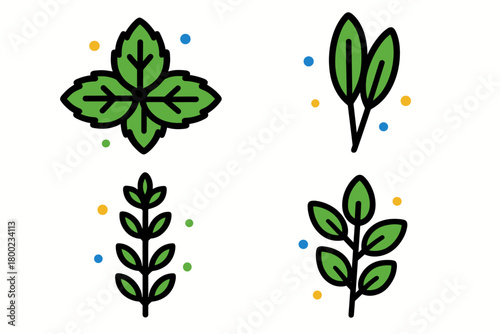 herbal icons flat vector bold outline white background minimal bright mint sage thyme dots