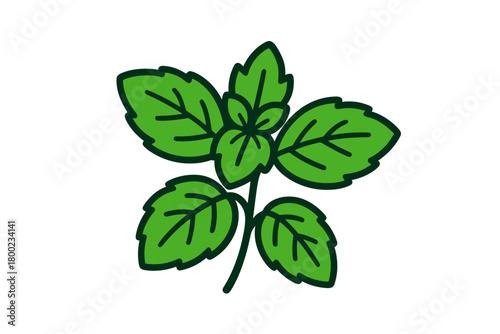 mint sprigs flat vector bold outline white background minimal bright mint leaves small petals