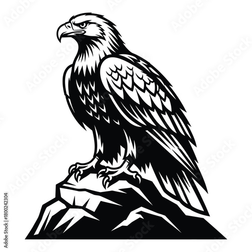 Majestic eagle perched on a rocky outcrop in black and white