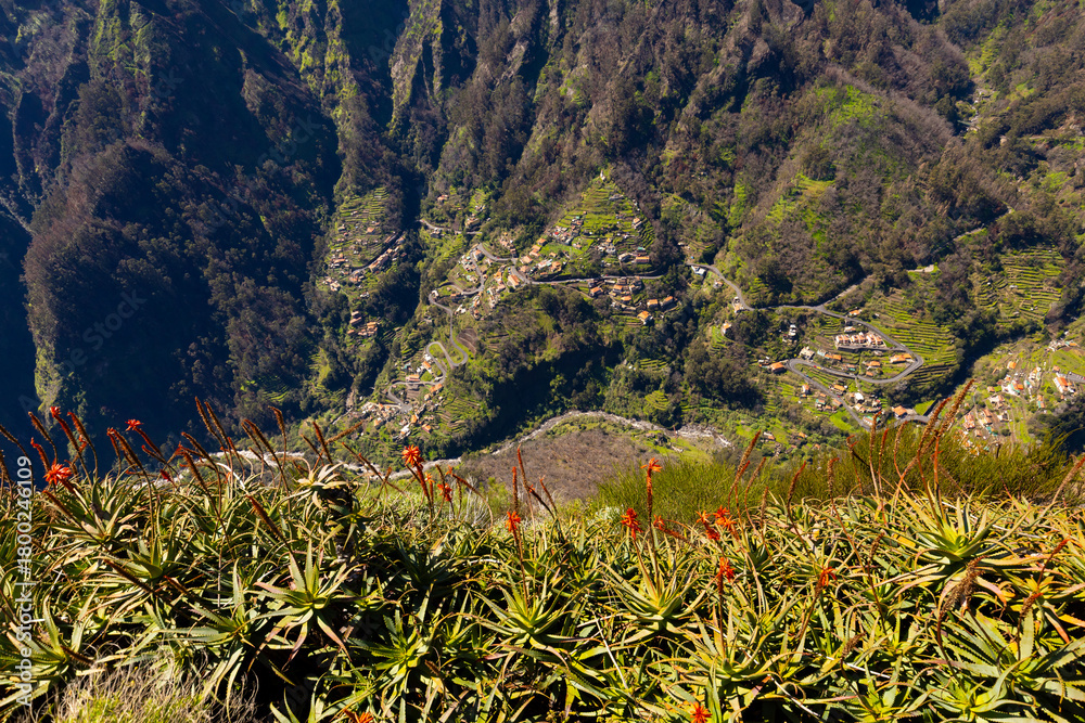 Fototapeta premium Aerial View of a Portuguese Village in a Mountain Valley, Curral das Freiras, Nuns' Valley, Madeira island, travel wallpaper or nature background
