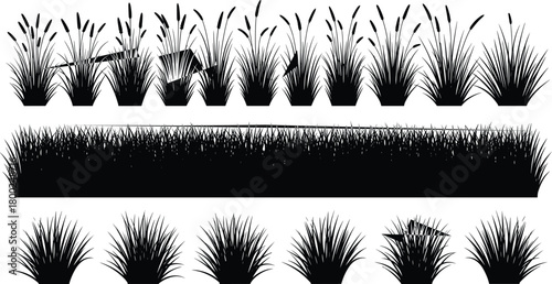 Black silhouette collection of grass clumps, reeds and cattails for landscape design, nature illustration, outdoor decoration, botanical elements vector set