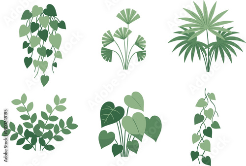 Indoor plant illustration collection featuring tropical leaves, potted greenery, hanging vines, decorative botanical elements, vector foliage set for nature design