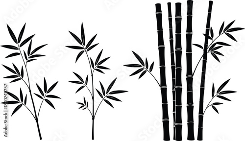 Elegant black silhouette bamboo plants and stalks illustration for nature design, decorative artwork, botanical elements, vector foliage graphic, Asian inspired composition