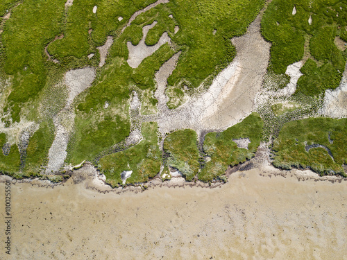 Abstract Aerial Top-Down View of Green Salt Marsh and Mudflats at Low Tide